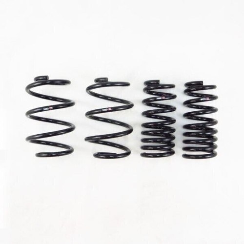 Chr300w lowering - rs‑r,